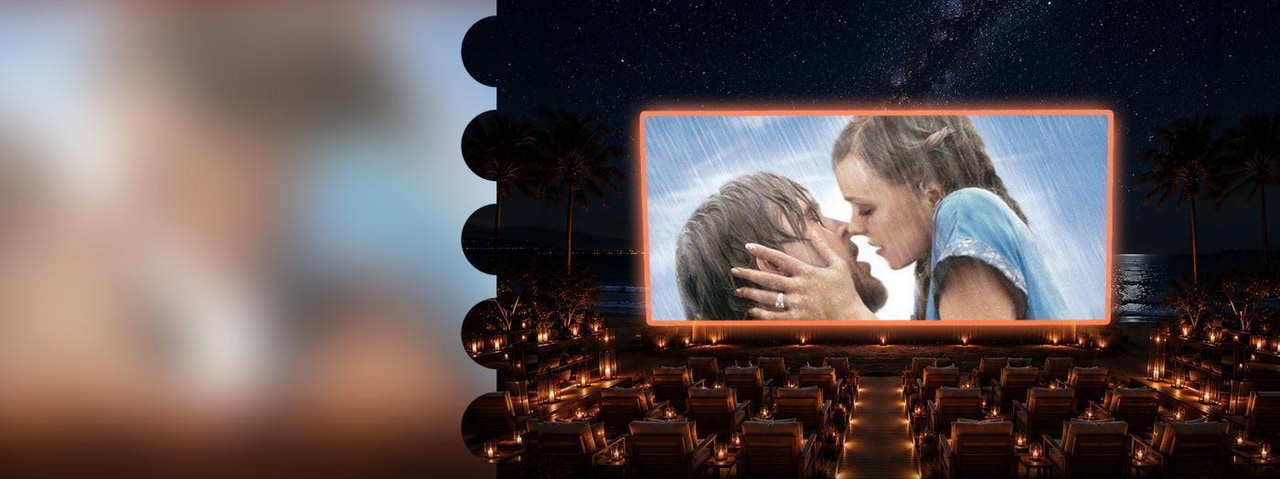 Seanema – The Notebook
