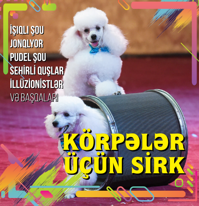 Цирк для малышей