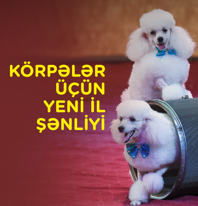 Новогодняя ёлка для малышей