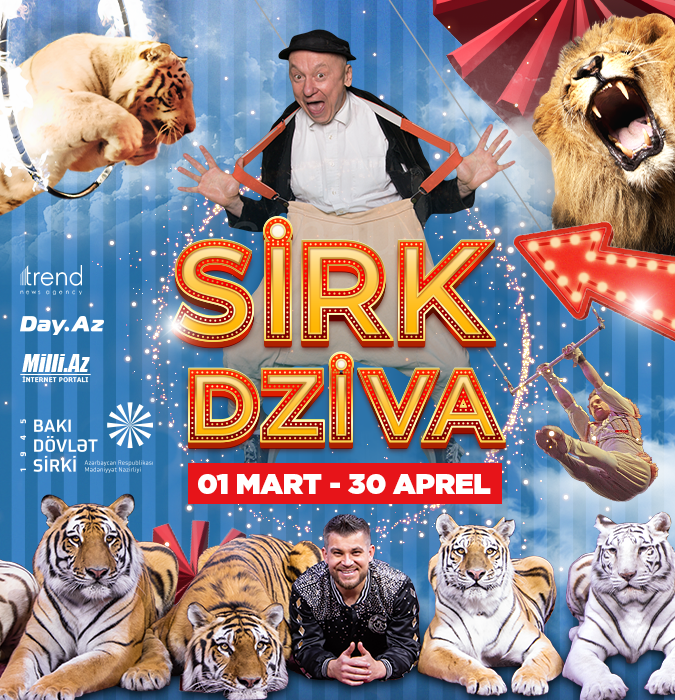 Международный цирк: DZIVA