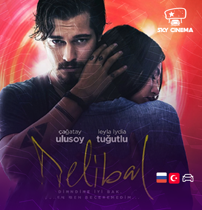 Sky Cinema Автокинотеатр – Delibal