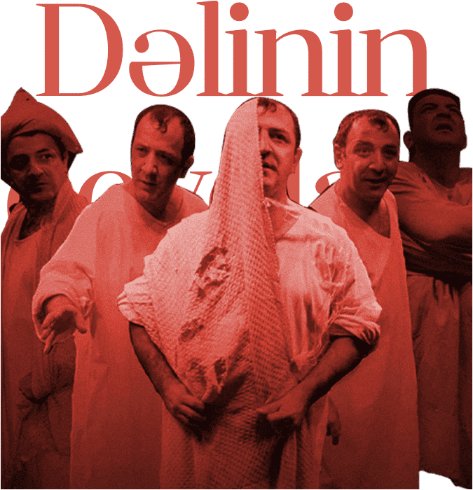 Dəlinin qeydləri
