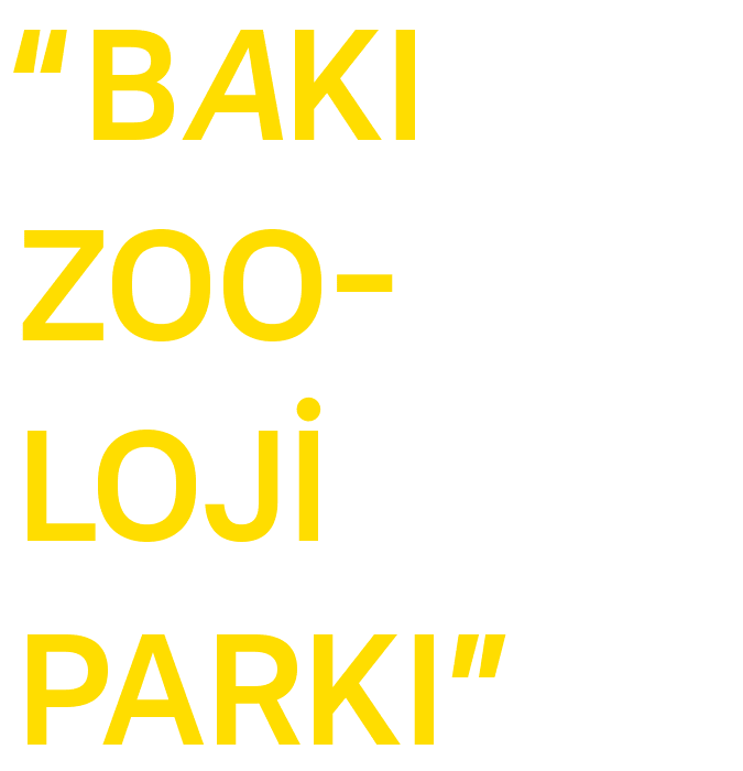 "Night Tour" in Baku Zoological Park
