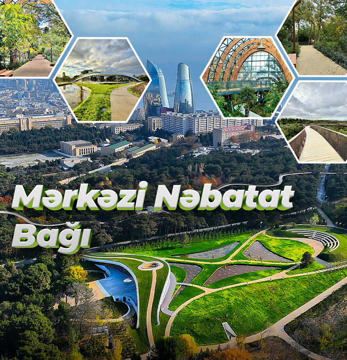 Mərkəzi Nəbatat bağı