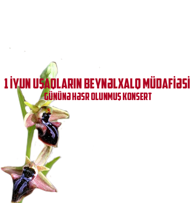 1 iyun Uşaqların Beynəlxalq Müdafiəsi gününə həsr olunmuş konsert