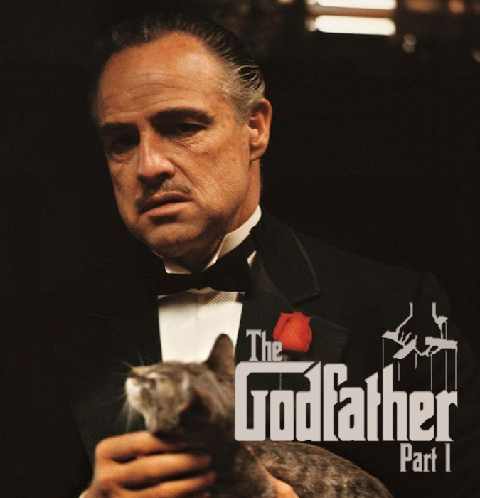 "Xaç atası" film gecəsi