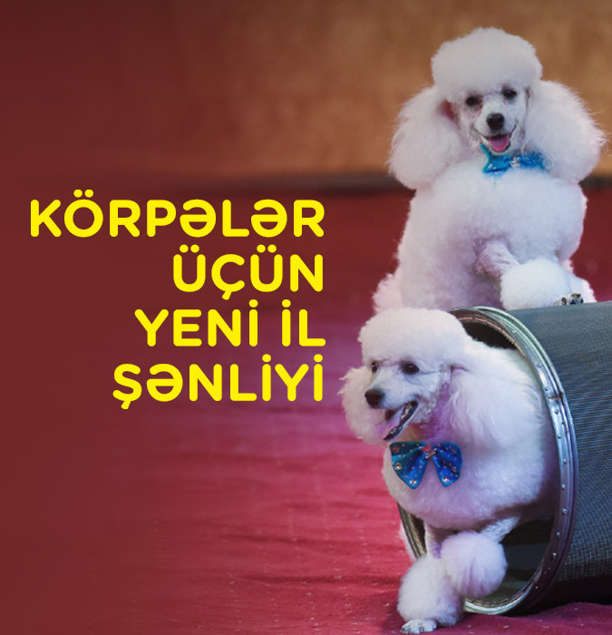 Новогодняя ёлка для малышей