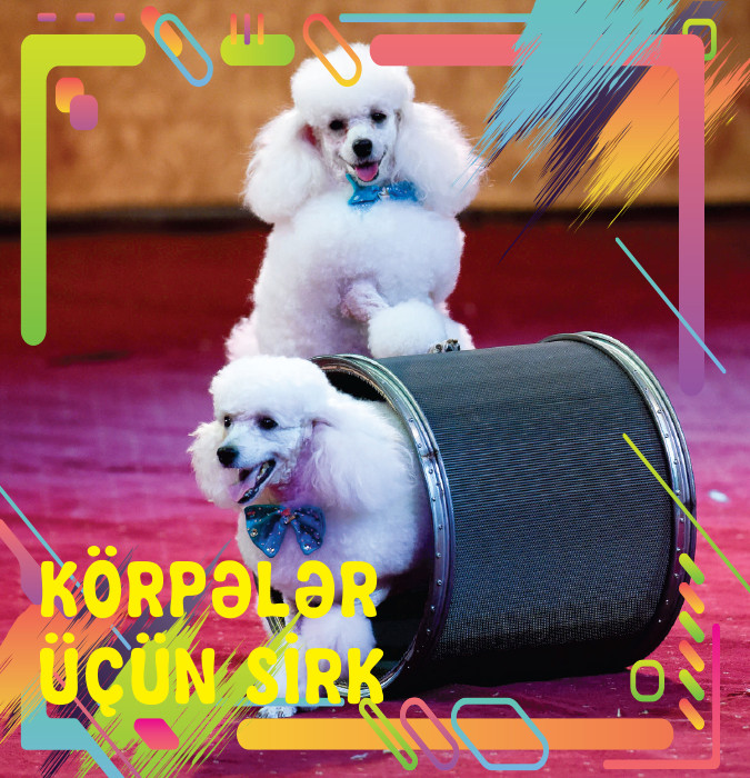 Körpələr üçün sirk