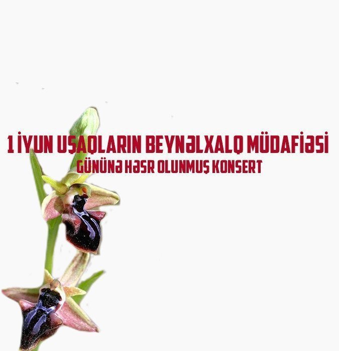 1 iyun Uşaqların Beynəlxalq Müdafiəsi gününə həsr olunmuş konsert