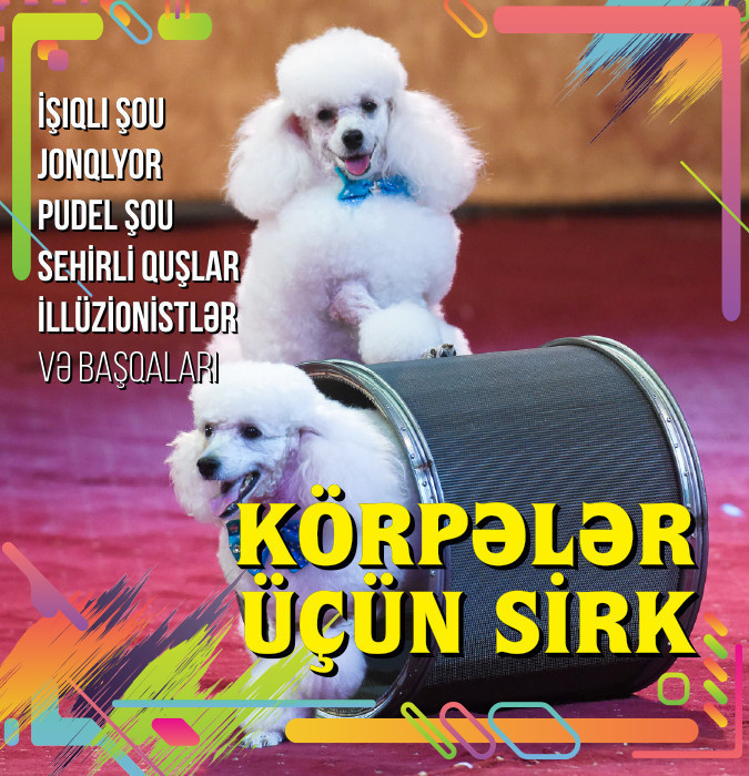 Цирк для малышей