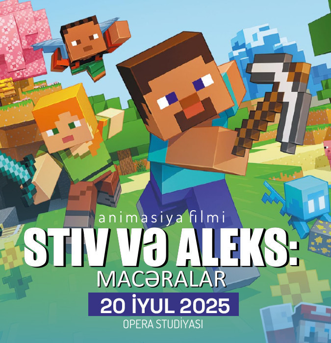 The Adventures of Steve and Alex