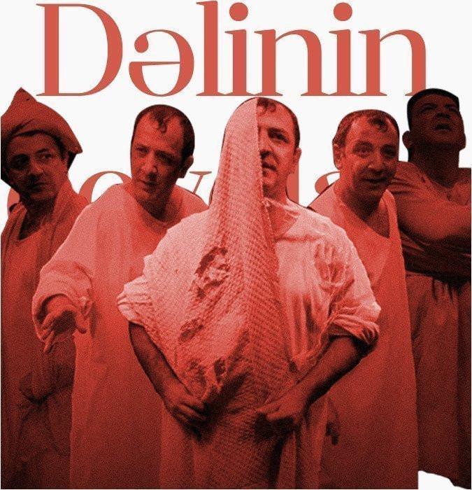 Dəlinin qeydləri