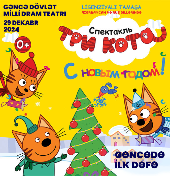 Gəncədə ilk dəfə - «Три кота: С Новым годом»