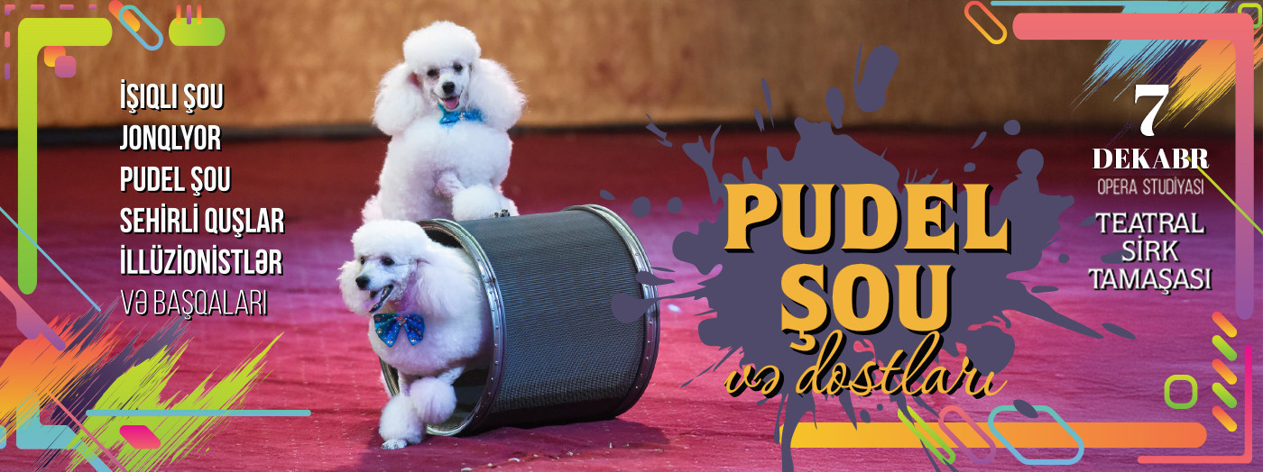 Poodle show and friends