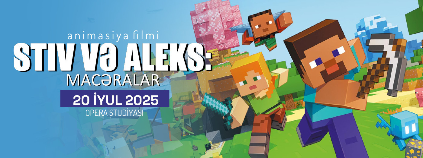 The Adventures of Steve and Alex