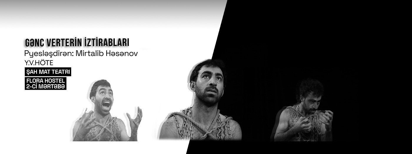 Gənc Verterin iztirabları