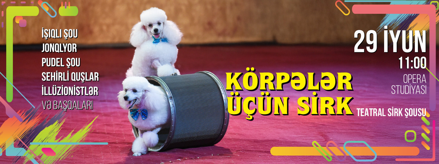 Цирк для малышей