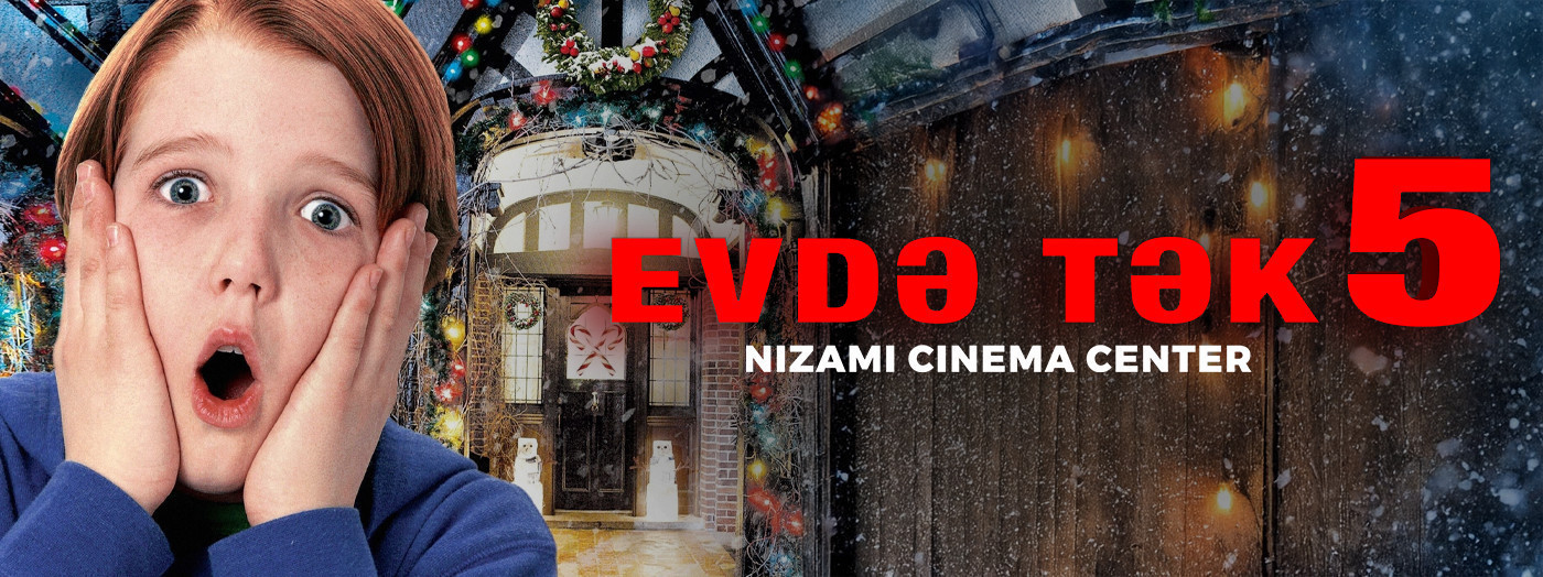 Movie - "Home Alone 5"