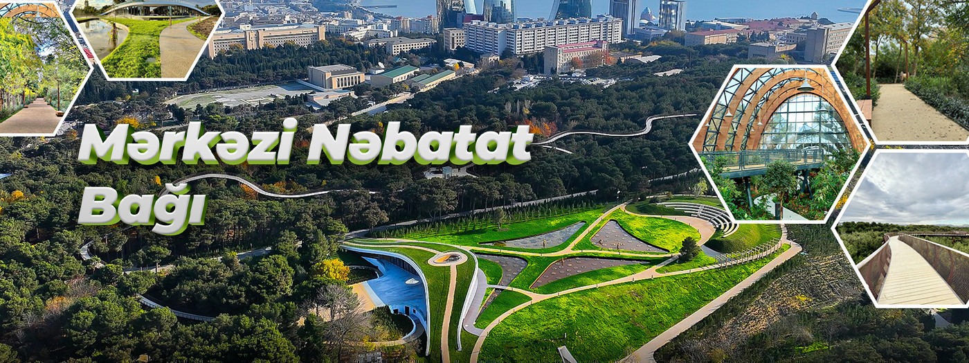 Mərkəzi Nəbatat bağı