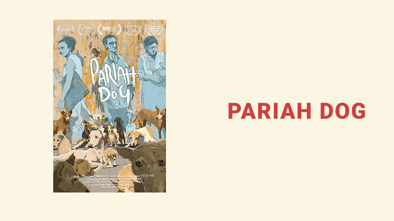 Pariah Dogs