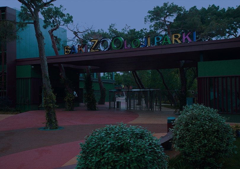 "Night Tour" in Baku Zoological Park