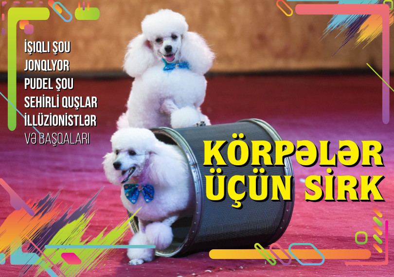 Цирк для малышей