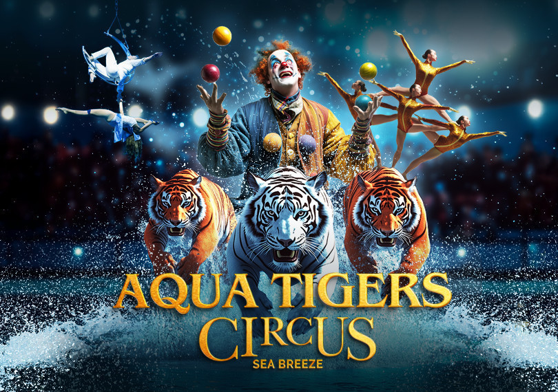 Su və pələnglər sirki