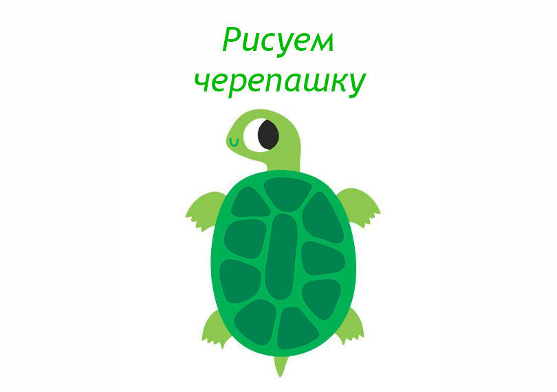 Drawing on canvas "Baby Turtle"