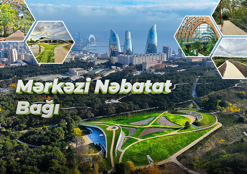 Mərkəzi Nəbatat bağı