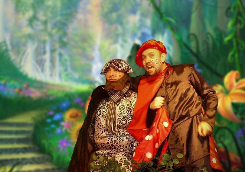 Yağış  göbələyinin macərası