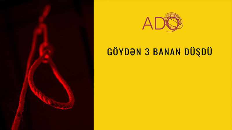 «С неба упало три банана»