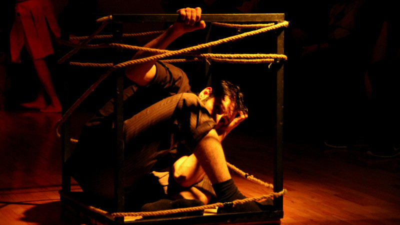 «С неба упало три банана»