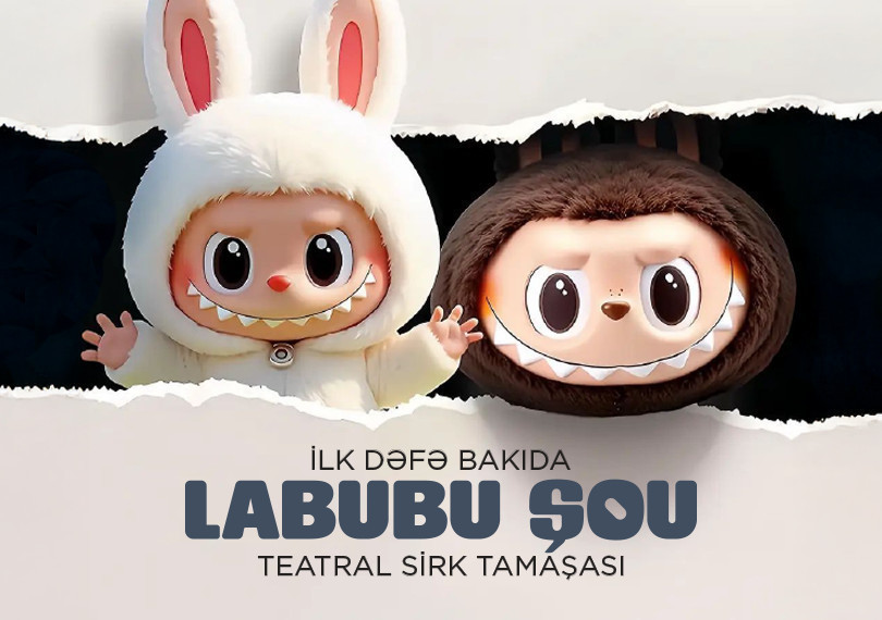 Labubu show