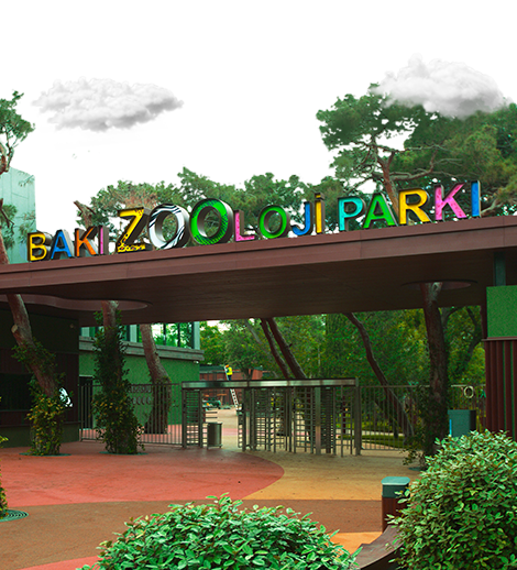 Bakı Zooloji Parkına ziyarət