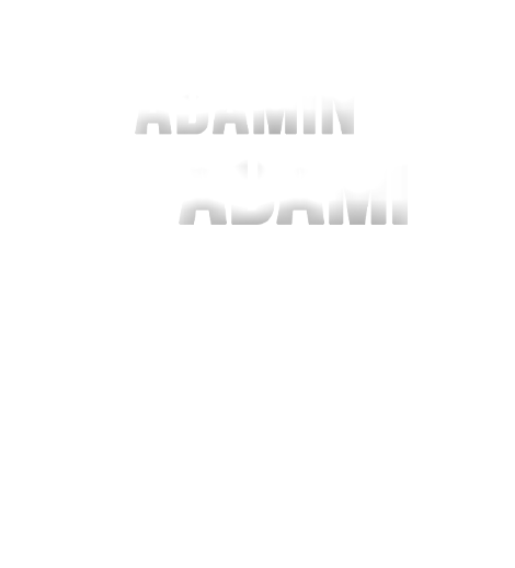 Adamın adamı
