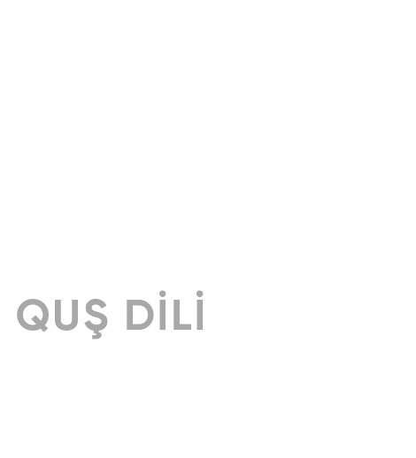 Quş dili