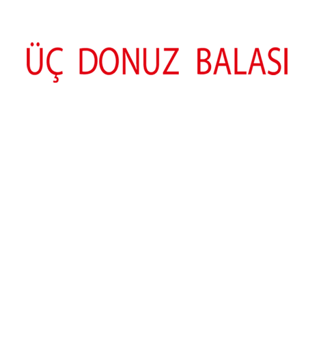 "Üç donuz balası"