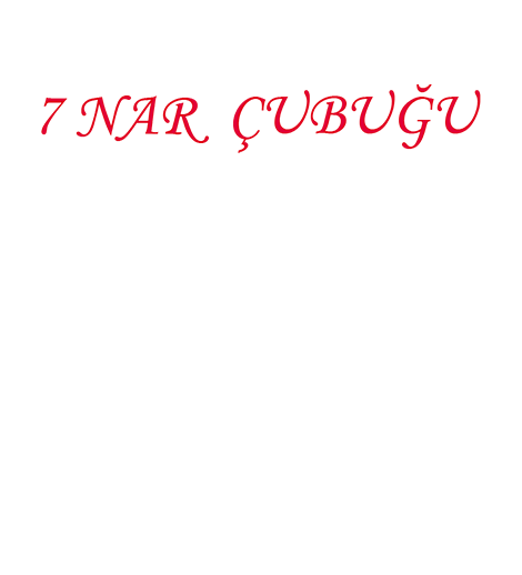 "Yeddi nar çubuğu"