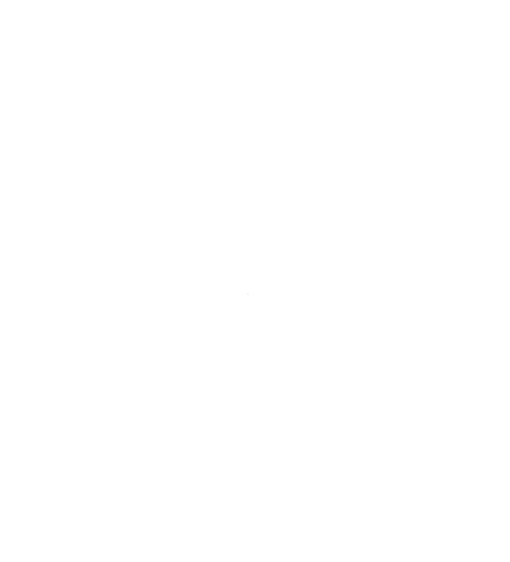 Carpets, Selin and magic…