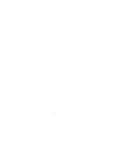 Rəng Festivalı