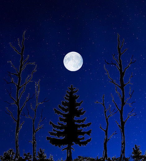 background-image