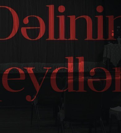 Dəlinin qeydləri