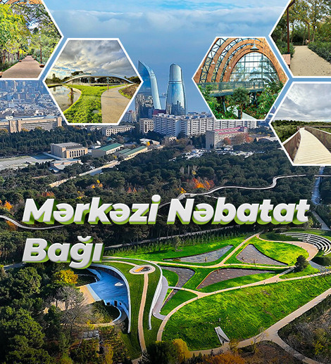 Mərkəzi Nəbatat bağı