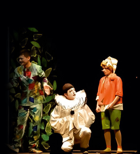 Buratino's Adventures