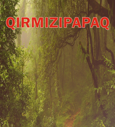 "Qırmızı Papaq"