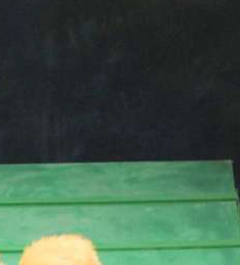 Çirkin ördək balası