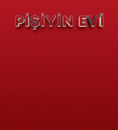 "Pişiyin evi"