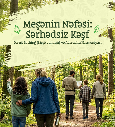 The Forest’s Breath: Limitless Exploration