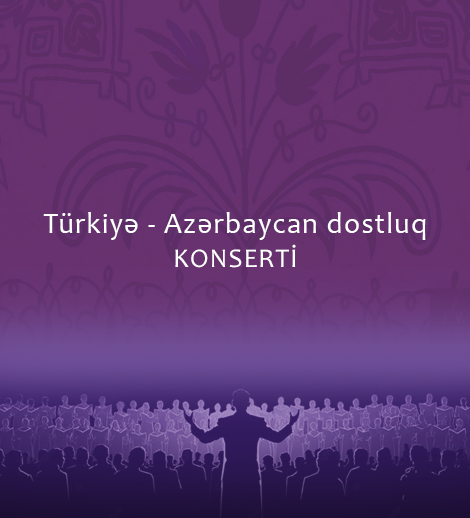 Турция - Азербайджан концерт дружбы