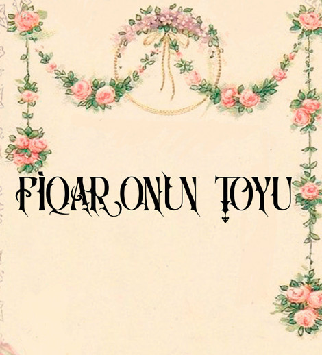Fiqaronun toyu